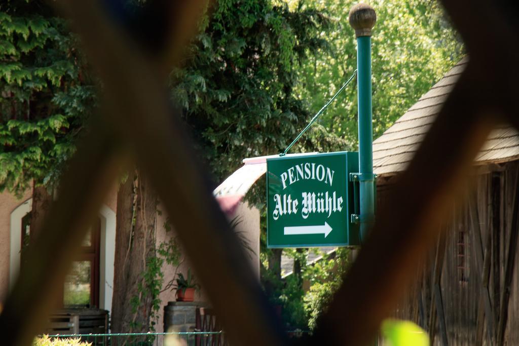 Pension Alte Muehle Gmünd Exterior foto
